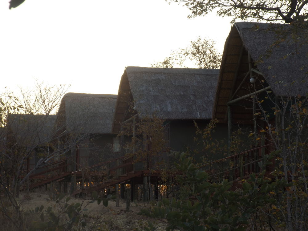 Lion Roars Lodge Lesoma Exterior foto