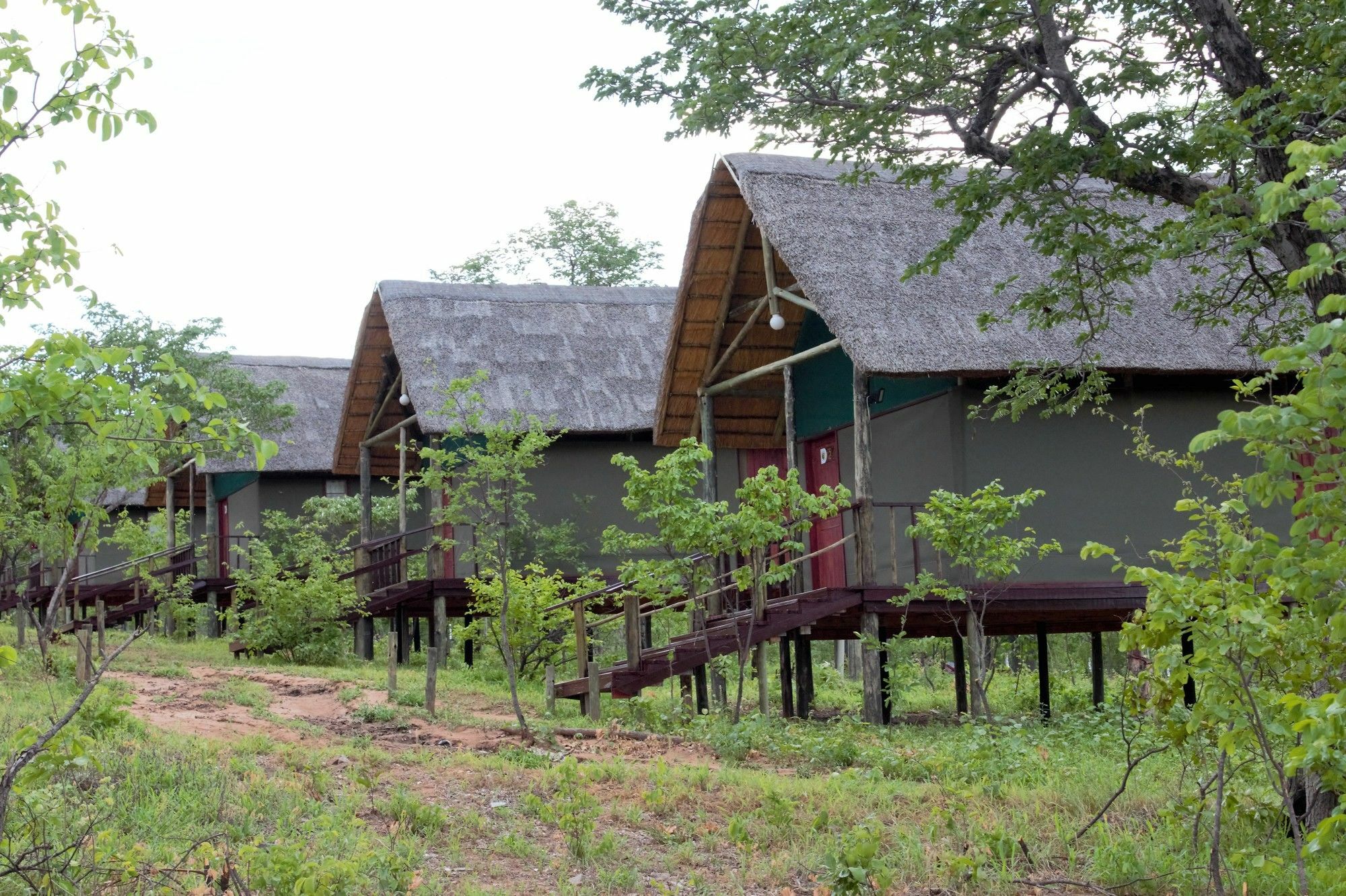 Lion Roars Lodge Lesoma Exterior foto