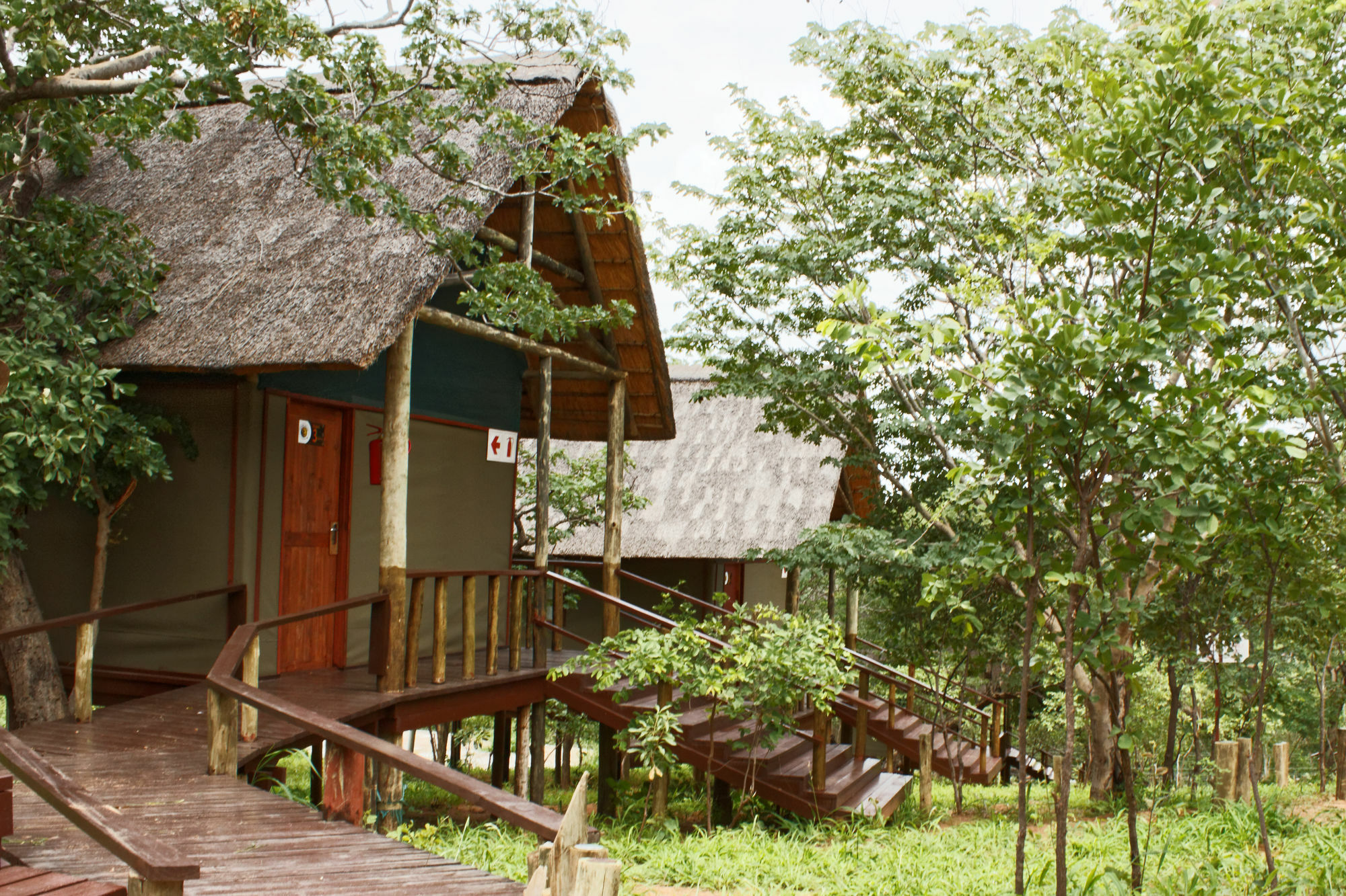 Lion Roars Lodge Lesoma Exterior foto